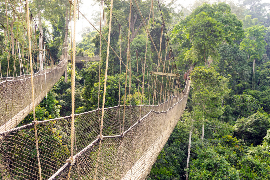 Kakum National Park